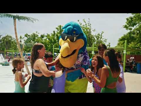Reproductor de vídeo de YouTube