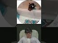 Собака в тазике #юмор #кашанарезки #kussia