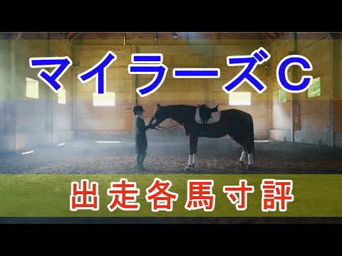 マイラーズカップ 2024 - 出走各馬寸評【※フリームファクシ評はコメント欄を参照】