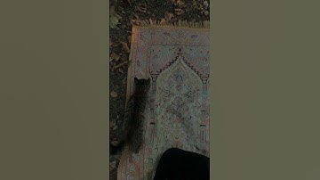﴿ واستَغفِروا الله إن الله غَفُور رحِيم ﴾ سوره البقره، عبدالرحمن مسعد #ارح_قلبك #قرآن_كريم
