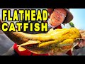 How to Target and Catch Flathead Catfish