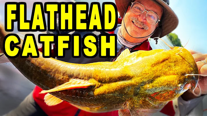 How to Target and Catch Flathead Catfish