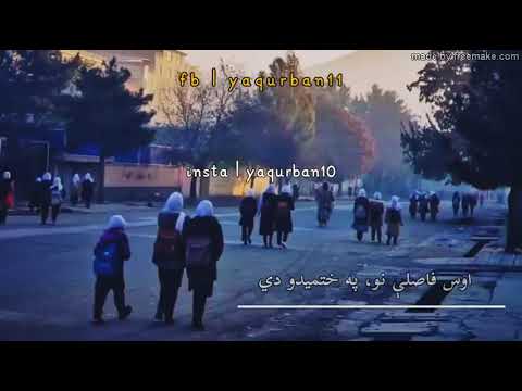 جینۍ مکتب ته په سبايي ده ښار کې روانه هارون باچا شعر د جلال امرخېل زبردسته سندره