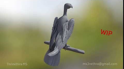 Eagle | Wing | Yeti Feathers | Maya