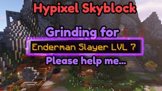 Hypixel Skyblock grinding Enderman Slayer 7 please help me i can't even do t4