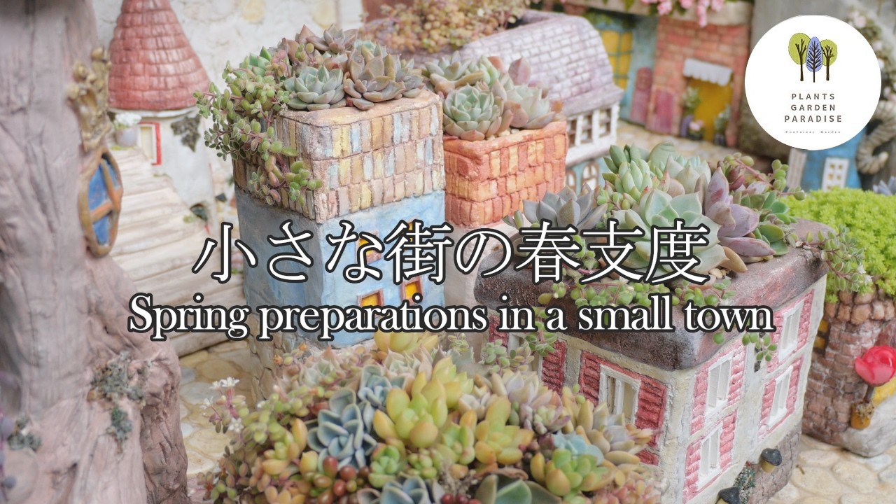 春の多肉植え替え 寄せ植えの仕立て直し