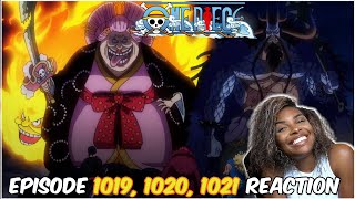 KAIDO'S MAN BEAST FORM REVEALED! | ONE PIECE EPISODE 1019, 1020, 1021 REACTION