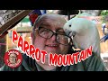 Parrot Mountain - Pigeon Forge, TN