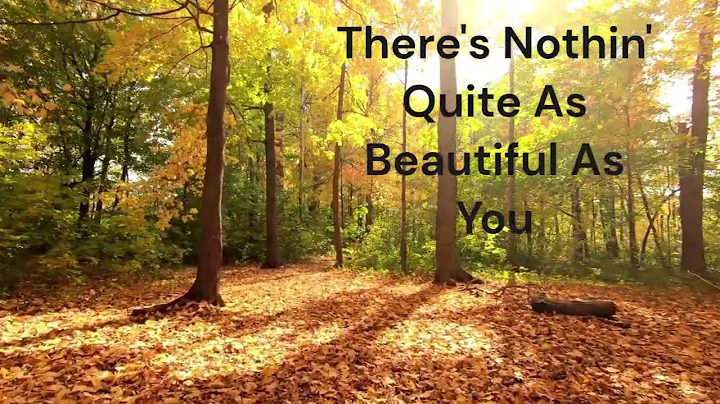 There's Nothin' Quite As Beautiful As You