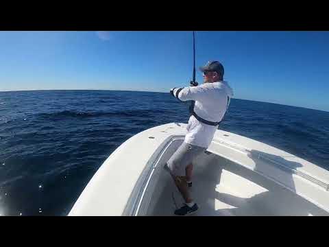 Mackerel Fishing. 