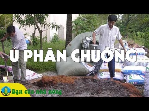 Video: Phân trộn Nấm Để Làm Vườn - Phân ủ Nấm Là Gì