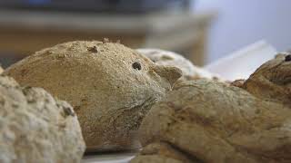 Taller De Pan En El Ecomuseo Molino Mareal El Pintado