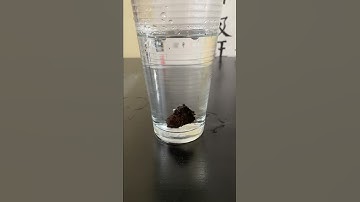 Demonstration of Diffusion Part 1