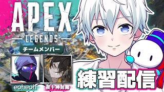 【APEX】カスタム練習配信！ランク回すよ～！【おらふくん】