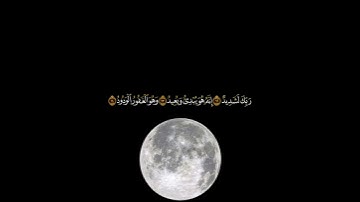 ءايات ذلك الفوز الكبير سورة البروج الشيخ سعد الغامدي