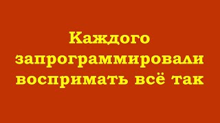 Всех Нас Запрограммировали. Распрограммируйте Себя До Изначального Чистого Состояния