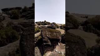 Selda Bagcan Öyle Bir Yerdeyim Ki Resimi