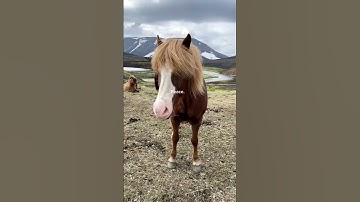Sending you some peace from the Icelandic highlands 🧘🏔️ #travel #hiking #iceland