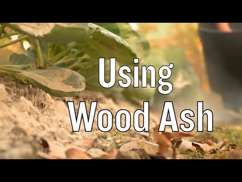 Wood Ash Compost Youtube