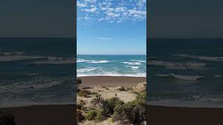 PUNTA NORTE  - PENÍNSULA VALDÉS. CHUBUT - ARGENTINA