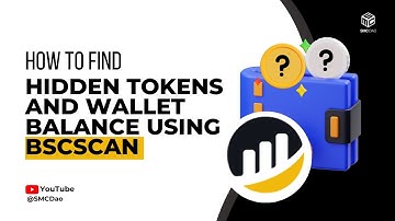 How To Find Hidden Tokens And Wallet Balance Using BSCscan