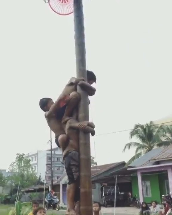 panjat pinang sampe melorot 🤣🤣🤣