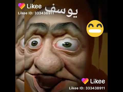 صوت حمار