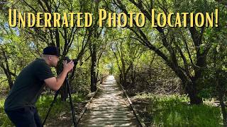 Cosumnes River Preserve Photography Guide | Trails & Bridges