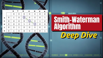 Hands on explanation of the Smith-Waterman Algorithm For local Sequence Alignment
