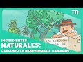 Ingredientes naturales: cuidando la biodiversidad, ganamos