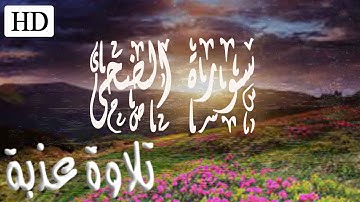 سورة الضحى كاملة💛تلاوة عذبة تريح القلوب بصوت خيالي!!!؟💛 القرآن الكريم🎧مع صوت المطر