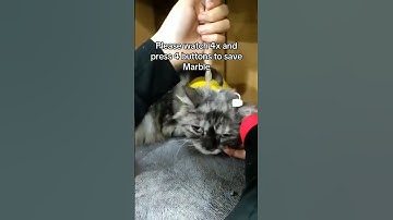 Every single pledge matters. 🙏 ✨ Please click the link in our bio to donate. Your support helps us