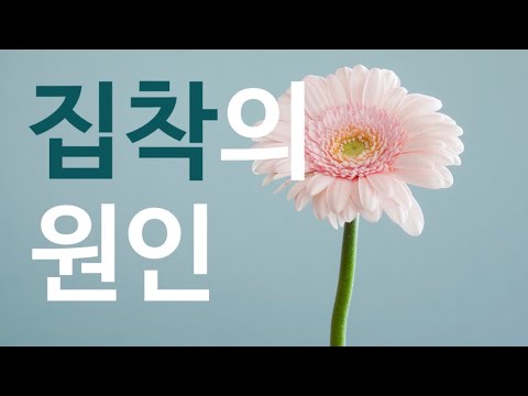 당신이 무언가에 집착을 하는 근본적인 이유 집착 해결법 