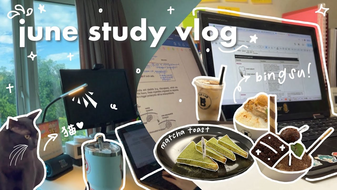 * ༉‧₊˚. jc june hols study vlog ☁️ — library, reviewing concepts, nus camp, outing