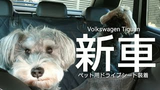 Volkswagen愛犬とドライブ★ペット用ドライブシート使ってみた！ミニチュアシュナウザー&マルーキー多頭飼いvlog【ティグアンblack style】