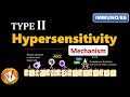 Type II Hypersensitivity Reactions (PART 2): Mechanism explained ! (FL-Immuno/86)