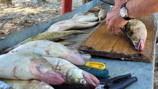 УЛОВИСТЫЕ воблеры ТРОН и БАНДИТ. Июнь, база 