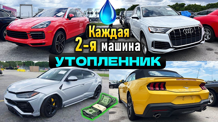 Возможно ли найти "живой" утопленник в Майами? Audi Q7, Porsche  Cayenne, Lamborghini Urus, Mustang