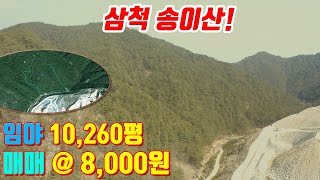 삼척 송이산 매매/전국 임야 매매전문/유튜브광고 무료/매물접수 환영