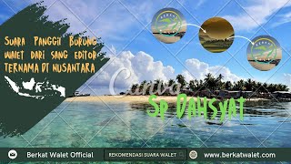 SUARA PANGGIL BURUNG WALET DAHSYAT NYA LANGSUNG DARI SANG EDITOR HANDAL‼️@BerkatWaletOfficial