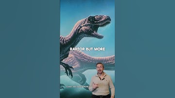 Meet the Megaraptors! #dinosaur #dinosaurs #dinos #fossil #fossils #naturalhistory #paleontology