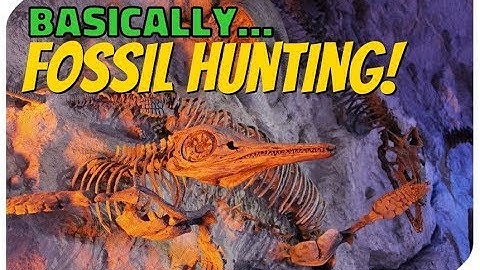 Basically... Fossil Hunting (For Beginners)