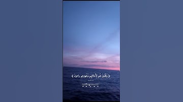 تلاوة هادئة راحة وسكينة وهدوء {قد أفلح المؤمنون الذين هم في صلاتهم خاشعون} بصوت القارئ ياسر الدوسري🤍