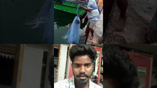 #Mettur meenavan shorts #fishing #fish #comedy #cuttingskills #fishcutting