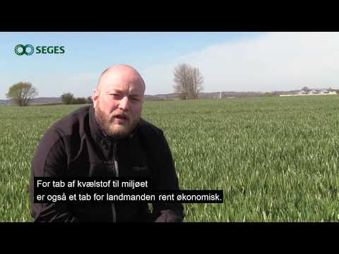 Video: Hvorfor er innovation vigtig for landbruget?