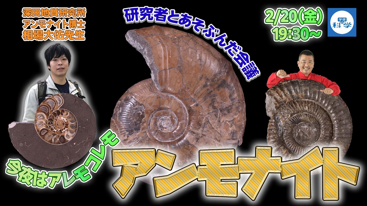 【ライブ配信】研究者とあそぶんだ会議　今夜はアレモコレモアンモナイト