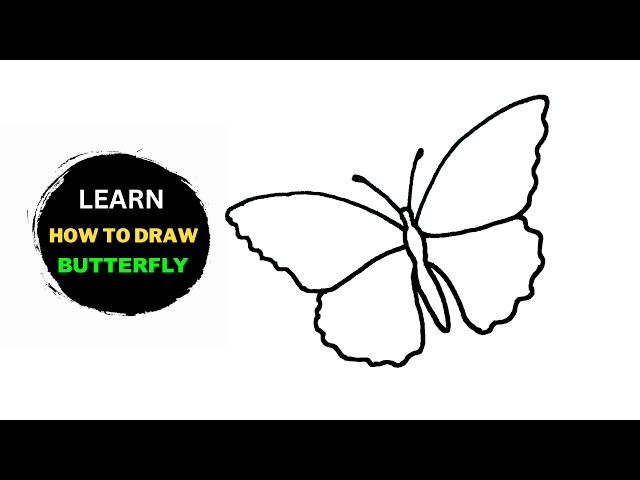 Butterfly Drawing Easy Step by Step