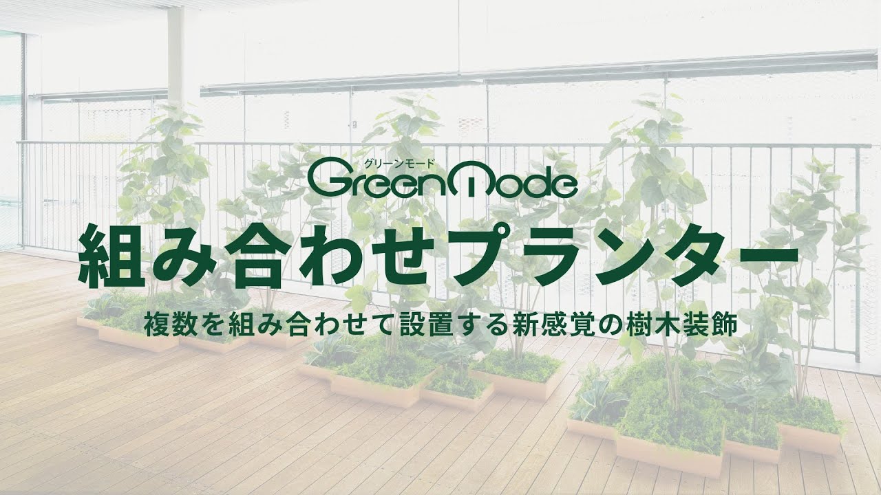 組み合わせプランター GR5043 ウンベラータ H1150｜人工観葉植物 樹木