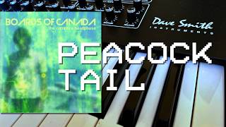 BOARDS OF CANADA - Peacock Tail COVER (Sequential Prophet REV2)