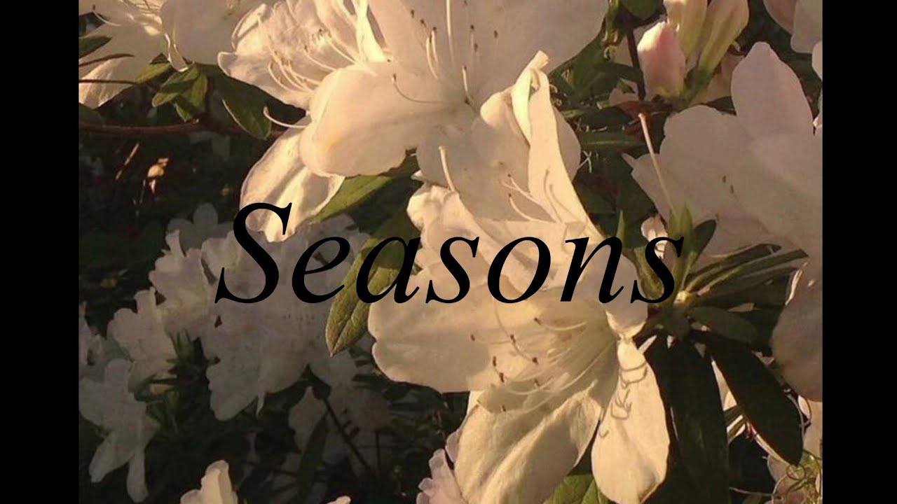 wave to earth - seasons // lyrics - YouTube Music